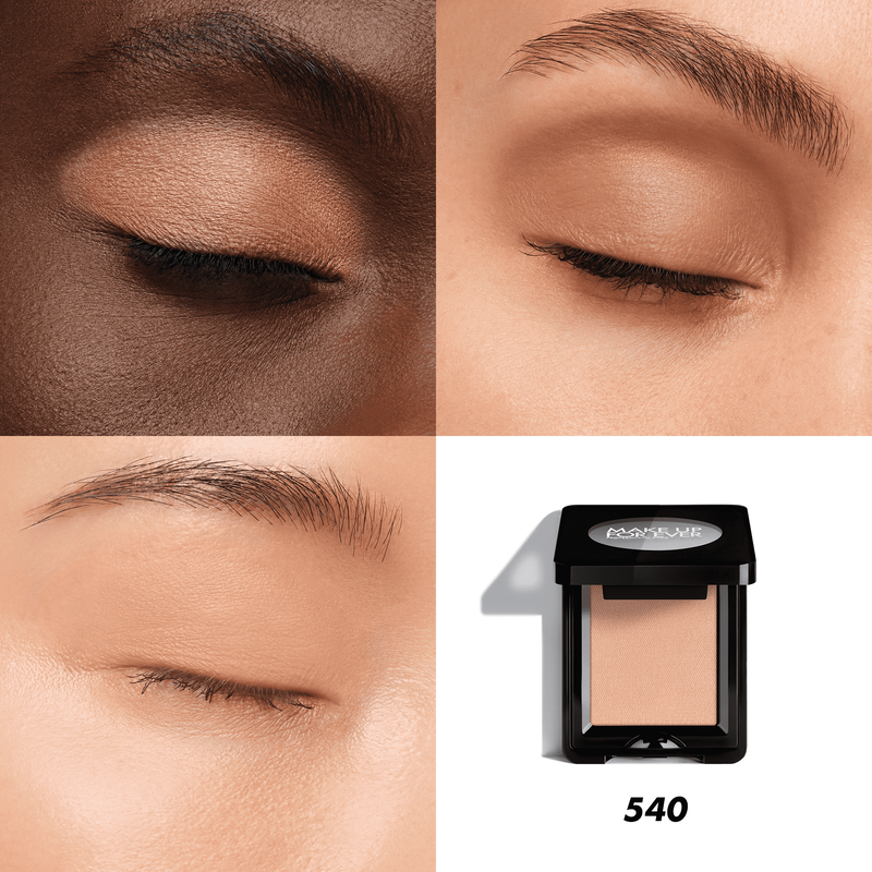 ARTIST EYESHADOW