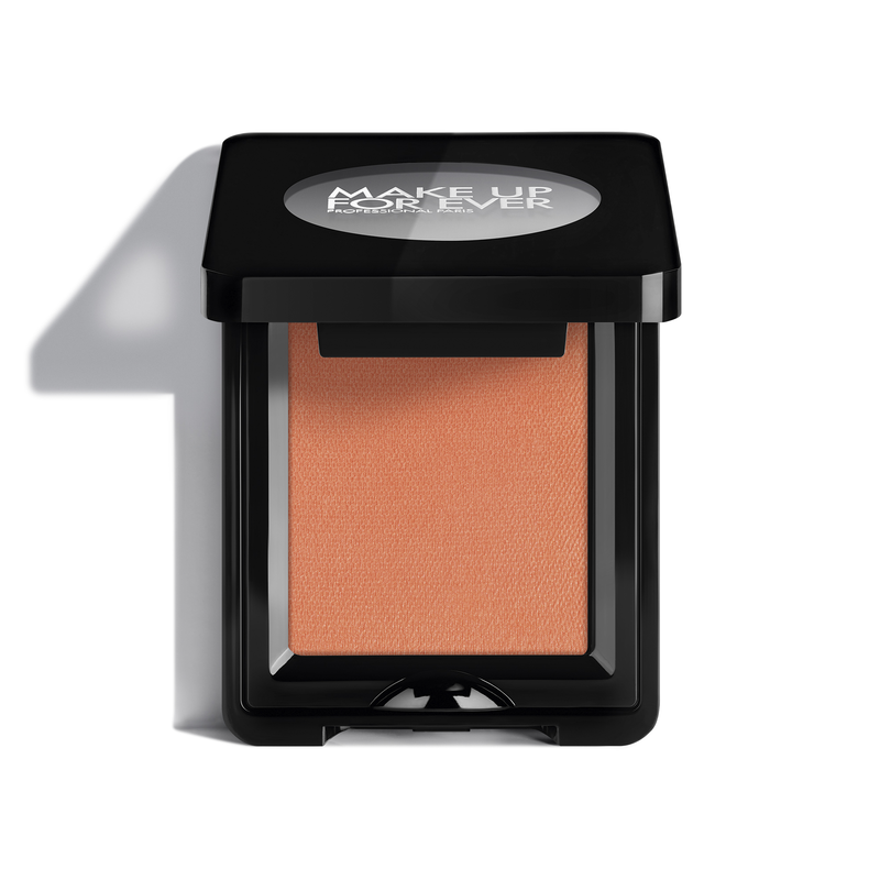 ARTIST EYESHADOW