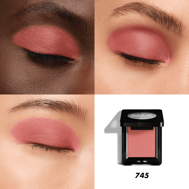 ARTIST EYESHADOW